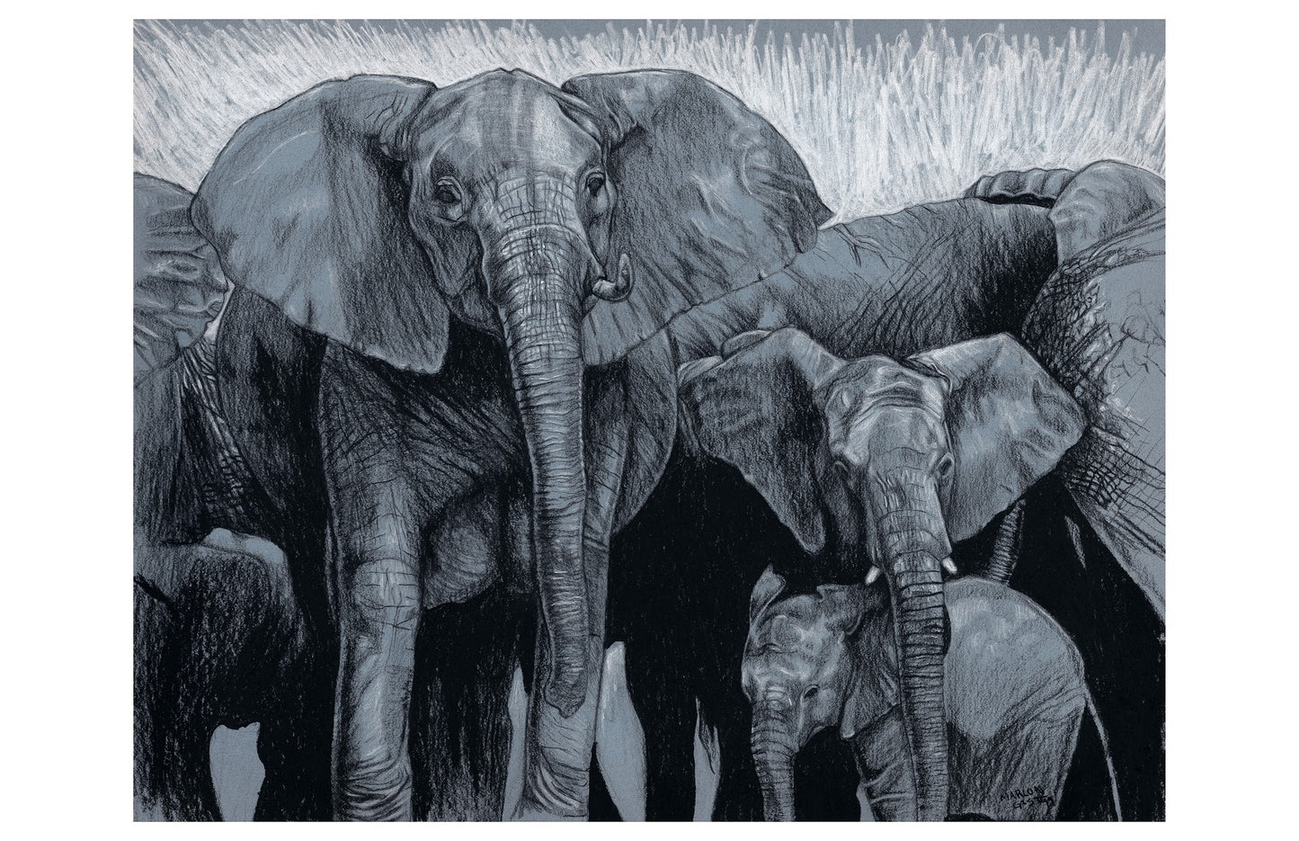 “Elephants”
