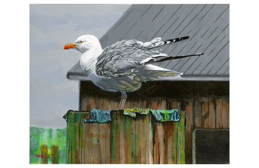 “Sea Gull”