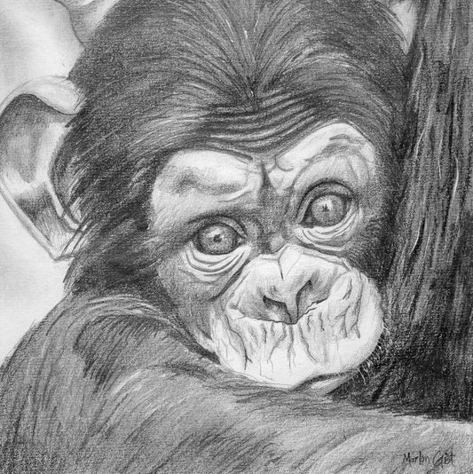 “Monkey”
